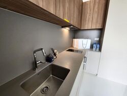 Parksuites (D10), Apartment #543282081